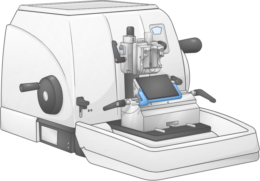 microtome visual aid